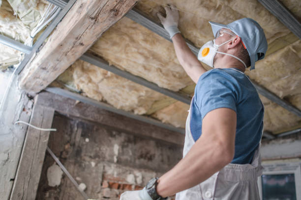 Best Energy Efficiency Solutions in Lineville, AL