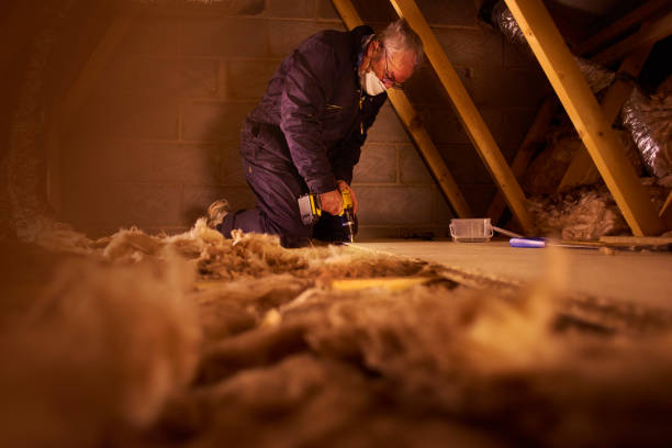 Best Specialty Insulation in Lineville, AL
